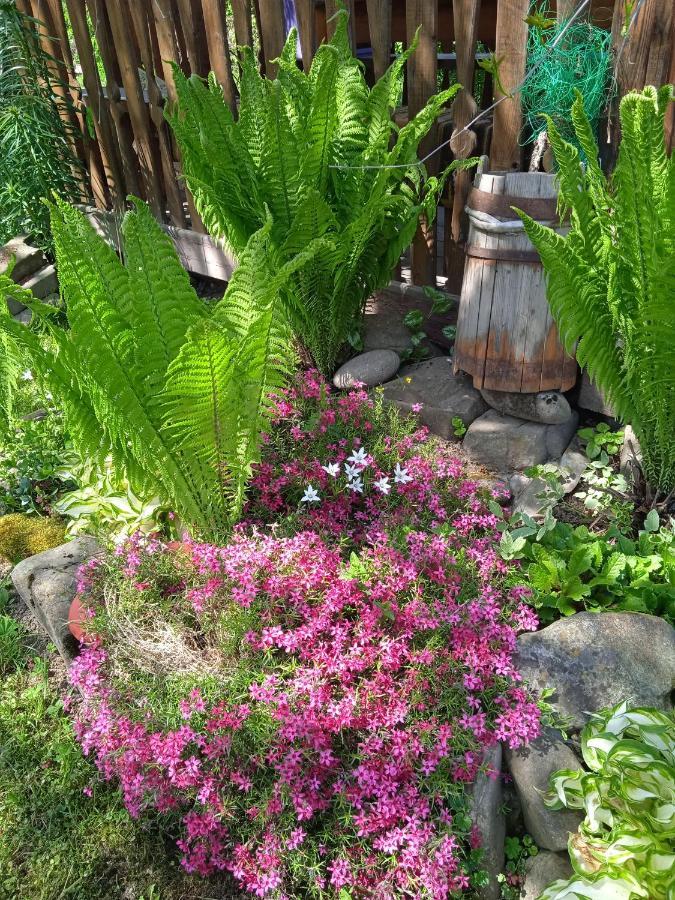 Pidkova Villa Verkhovyna Ngoại thất bức ảnh